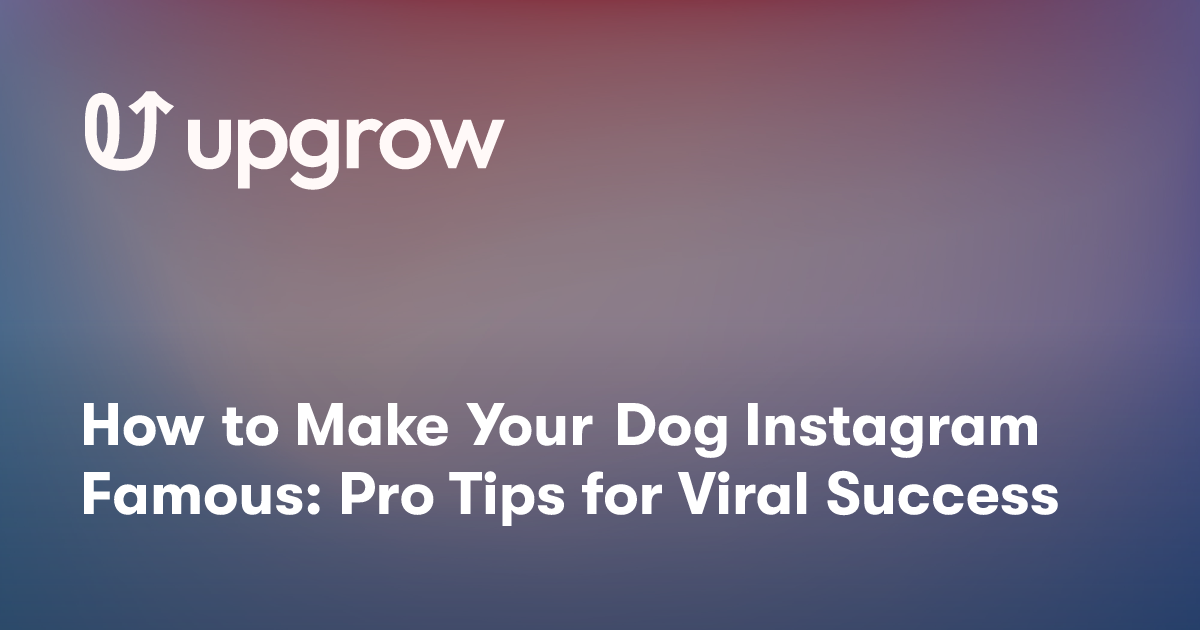 How to Make Your Dog Instagram Famous: Pro Tips for Viral Success